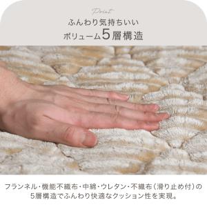 ラグ ホットカーペット 2点セット 2畳 おし...の詳細画像3