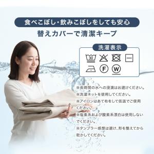 本日+5% 当店ハイバックローソファ専用 洗え...の詳細画像1
