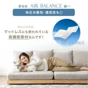 ソファ 洗える カバーリング 4人掛け おしゃ...の詳細画像5