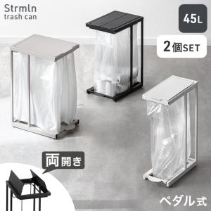 ゴミ箱 両開き 45l 2個セット スリム 蓋付き ペダル 45リットル フレーム ゴミ袋ホルダー ふた付 蓋付きゴミ箱 ごみ箱 ペダル式 キッチン 足踏み 四角