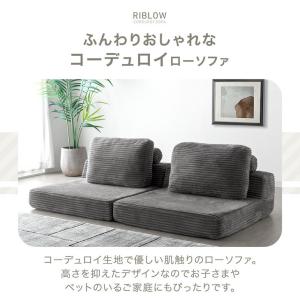 本日+4% ソファー おしゃれ 2人掛け ロー...の詳細画像1