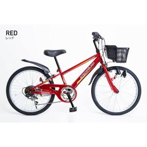 21Technology 4562320210706 22インチ子供マウンテンバイク