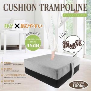 ヒロ コーポレーション DLBC21307 クッショントランポリン