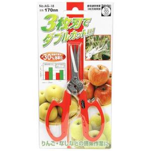 サボテン 4976365201153 メール便で...の商品画像