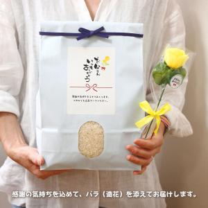 父の日 ギフト お米 コウノトリ米 3kg 兵...の詳細画像2