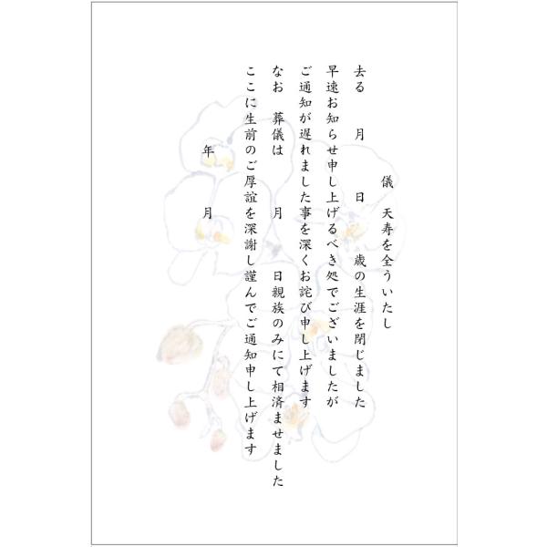 私製10枚 死亡通知 挨拶状 はがき（2-1胡蝶蘭）天寿を全うし…《手書き記入タイプ/私製ハガキ/切...