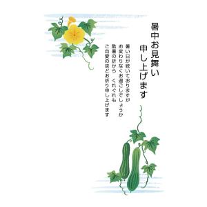 官製はがき 記念はがき 普通はがき 暑中見舞いはがき 10円はがき 官製はがき10枚 暑中お見舞いハガキ(金魚)暑中見舞いはがき（s