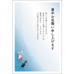 官製はがき 記念はがき 普通はがき 暑中見舞いはがき 10円はがき 官製はがき10枚 暑中お見舞いハガキ(金魚)暑中見舞いはがき（s