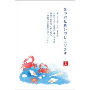官製はがき 記念はがき 普通はがき 暑中見舞いはがき 10円はがき 官製はがき10枚 暑中お見舞いハガキ(金魚)暑中見舞いはがき（s