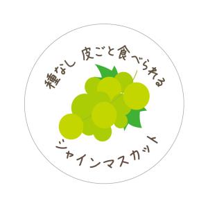 シャインマスカット　シール（519）種なし皮ごと食べられる 丸形 アート紙（ぶどうイラスト入）　(サイズ40ミリ-120枚)　(サイズ30ミリ-240枚)