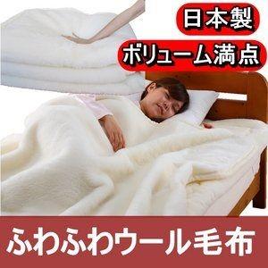 ds-508355 ボリューム抜群 ふわふわウール毛布 シングルアイボリー 日本製 (ds508355) ds-508355 ボリューム抜群 ふわふわウール毛布 シングルアイボリー 日本製 (ds508355)