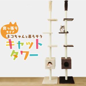 キャティーマン 猫タワー 突っ張り型 ドギーマン モダンルーム