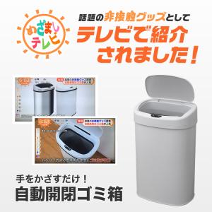 ゴミ箱 おしゃれ 48リットル 自動開閉 キッ...の詳細画像1