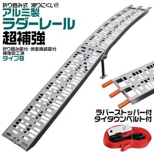 アストロプロダクツ　軽量アルミラダーレール 2007000011171 軽量アルミラダー 1台 アストロプロダクツ 【通販