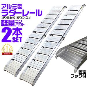 アストロプロダクツ AP アルミラダー フラット : アストロ