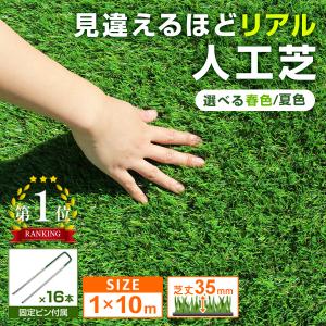 赤字SALE 人工芝 ロール ロールタイプ 10m 芝生 リアル人工芝