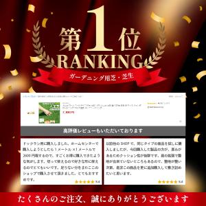 人工芝 ピン付き ロール 犬 10m マット ...の詳細画像1