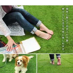 人工芝 ピン付き ロール 犬 10m マット ...の詳細画像5