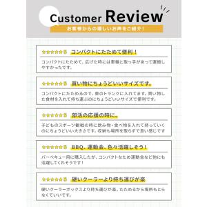 クーラーボックス キャリーカート 小型 保冷バ...の詳細画像2