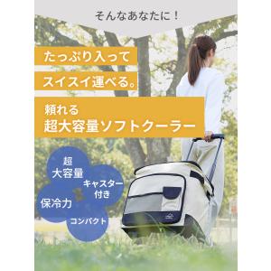 クーラーボックス キャリーカート 小型 保冷バ...の詳細画像4