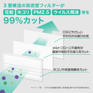 マスク 50枚 使い捨てマスク 大人用 不織布...の詳細画像2