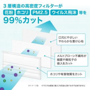不織布マスク 大きめ マスク 男性 大きいサイ...の詳細画像4
