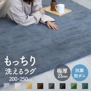 ラグ 厚手 3畳 カーペット 3.2畳 200x250cm 極厚23mm 低反発ウレタン 洗える おしゃれ 絨毯 抗菌 防ダニ