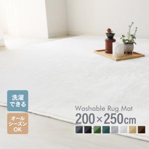 ラグ カーペット ラグマット 厚手 洗える 北欧...の商品画像