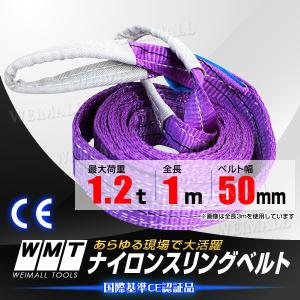 スリングベルト 荷揚げ ロープ 吊りベルト ベルト幅50mm 耐荷重1.2t 1m 吊りベルト｜tantobazarshop