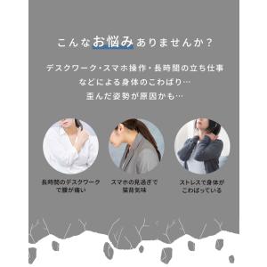 ヨガポール ロングタイプ 100cm 腰痛対策...の詳細画像2