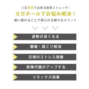 ヨガポール ロングタイプ 100cm 腰痛対策...の詳細画像3