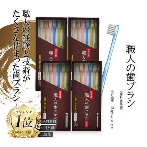 磨きやすい 歯ブラシ 先細 田辺重吉 ライフレンジ 6本入り 4箱｜tao-store