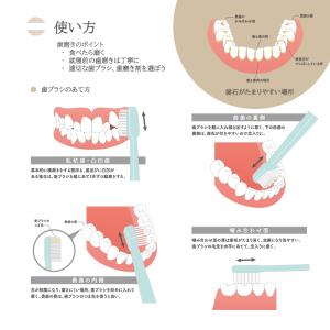 職人の歯ブラシ 先細 田辺重吉考案 歯ブラシ職...の詳細画像5