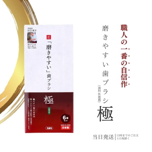 歯ブラシ職人 田辺重吉考案 磨きやすい 歯ブラシ 極 ふつう 6本
