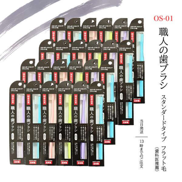 ライフレンジ 職人の歯ブラシ 歯ブラシ職人 田辺重吉考案 スタンダード OS-01 24本セット フ...