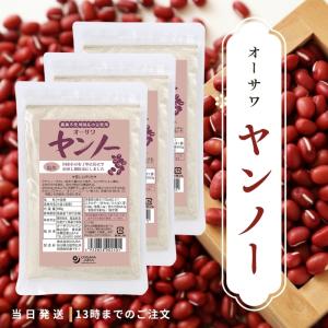 オーサワジャパン オーサワ ヤンノー 100g 3個セット 国産大豆使用 農薬不使用