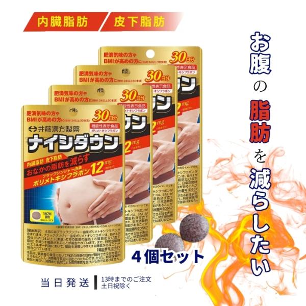 井藤漢方製薬 ナイシダウン 30日分 60粒 サプリメント ダイエット 4個