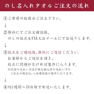 粗品タオル お年賀タオル のし名入れ 袋入り ...の詳細画像4