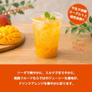 TX マンゴーエード シロップ 1L タピオカ...の詳細画像2