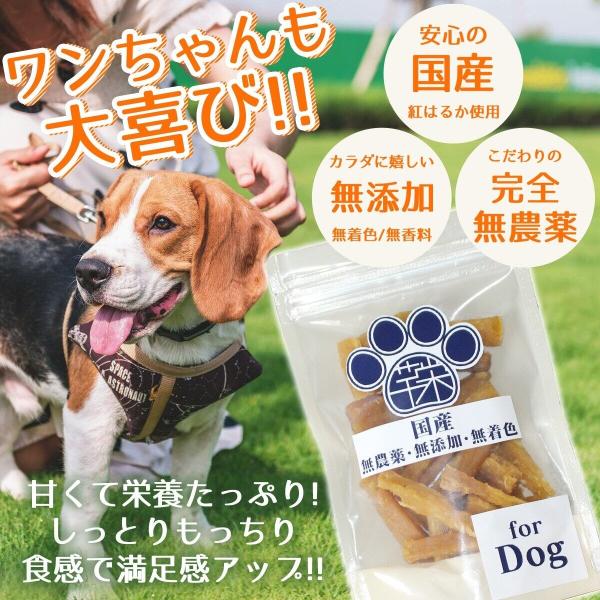 国産 無添加 犬 おやつ 干し芋スティック 150g 1袋 干し芋 ほしいも 犬用おやつ 焼き芋 さ...