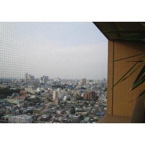 鳥害対策に・・鳥類侵入防止用防鳥ネット　2000×10000(ミリ)