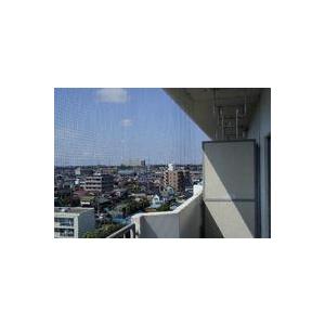 鳥害対策に・・鳥類侵入防止用防鳥ネット　3000×5000(ミリ)