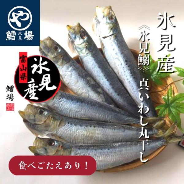 《氷見鰯》真いわし丸干し