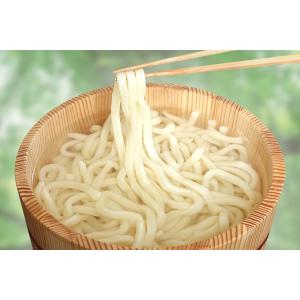 たらいうどん(太切)の詳細画像1