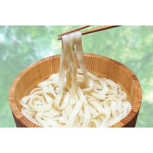 たらいうどん(平べったい)の詳細画像1