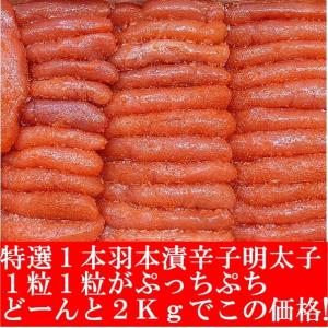 辛子明太子 業務用 明太子 たっぷり2キロ 1本物の詳細画像2