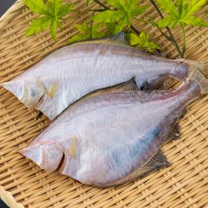 ます子醤油漬500g すじこ 筋子 鱒 : 北海道古平清水商店 - 通販