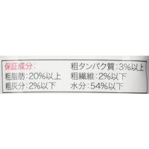 Kong(コング) コングチューブペースト ス...の詳細画像3