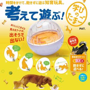 ドギーマンハヤシ 考えて遊ぶ! 学びのたまごの詳細画像2
