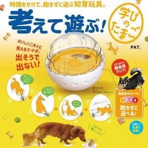 ドギーマンハヤシ 考えて遊ぶ! 学びのたまごの詳細画像4